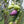 Load image into Gallery viewer, Barnea EVOO 25SH