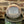 Load image into Gallery viewer, Amaretto EVOO Soap 3.3 oz