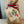 Load image into Gallery viewer, Dr. Pete's Scones Baking Mix