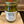 Load image into Gallery viewer, Pickled Okra 16 oz