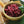 Load image into Gallery viewer, Cranberry Orange EVOO Soap 3.3 oz