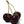 Load image into Gallery viewer, Black Cherry Dark Balsamic Vinegar
