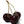 Load image into Gallery viewer, Black Cherry Dark Balsamic Vinegar