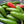 Load image into Gallery viewer, Jalapeno White Balsamic Vinegar