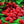 Load image into Gallery viewer, Raspberry Dark Balsamic Vinegar