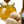 Load image into Gallery viewer, Honey Ginger White Balsamic Vinegar