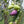 Load image into Gallery viewer, Barnea EVOO 26SH
