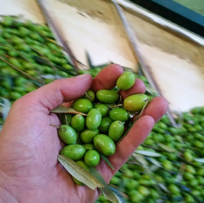 Estate Reserve EVOO 25SH