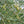 Load image into Gallery viewer, Manzanillo EVOO 25NH

