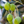 Load image into Gallery viewer, Picual EVOO 25SH
