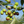 Load image into Gallery viewer, Frantoio EVOO 26SH
