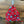 Load image into Gallery viewer, Alice’s Aprons
