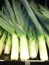 Leek Fused EVOO