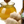 Load image into Gallery viewer, Honey Ginger White Balsamic Vinegar
